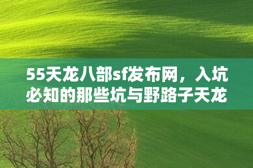 入坑必知的那些坑与野路子天龙私服图片