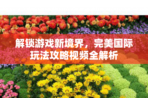 完美国际玩法攻略视频全解析图片