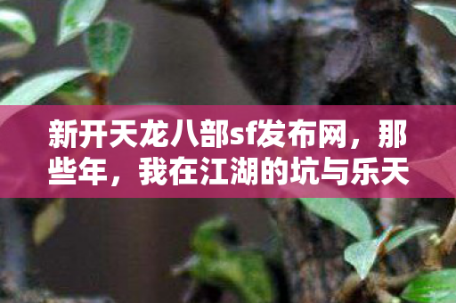 新开天龙八部sf发布网,那些年,我在江湖的坑与乐天龙八部私服 新开天龙八部sf发布网,那些年,我在江湖的坑与乐天龙八部私服