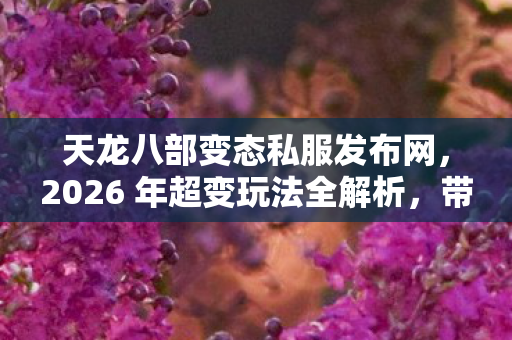 天龙八部变态私服发布网，2026 年超变玩法全解析，带你畅玩不一样的天龙世界天龙私服