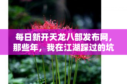 每日新开天龙八部发布网，那些年，我在江湖踩过的坑与摸出的门道天龙八部私服