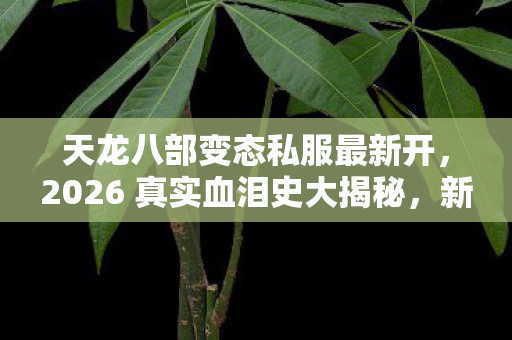 天龙八部变态私服最新开,2026 真实血泪史大揭秘,新手避坑指南!天龙私服 天龙八部变态私服最新开,2026 真实血泪史大揭秘,新手避坑指南!天龙私服