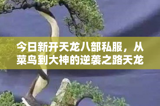 今日新开天龙八部私服，从菜鸟到大神的逆袭之路天龙私服