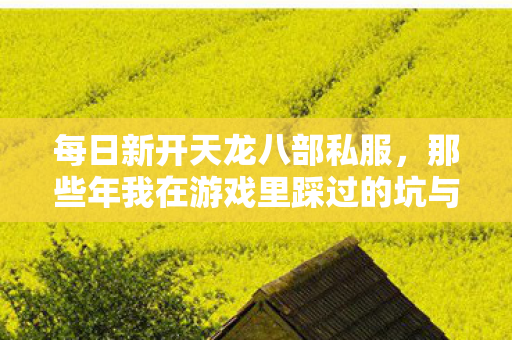 每日新开天龙八部私服,那些年我在游戏里踩过的坑与摸出的野路子天龙私服 每日新开天龙八部私服,那些年我在游戏里踩过的坑与摸出的野路子天龙私服