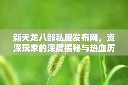 新天龙八部私服发布网,资深玩家的深度揭秘与热血历程天龙私服 新天龙八部私服发布网,资深玩家的深度揭秘与热血历程天龙私服