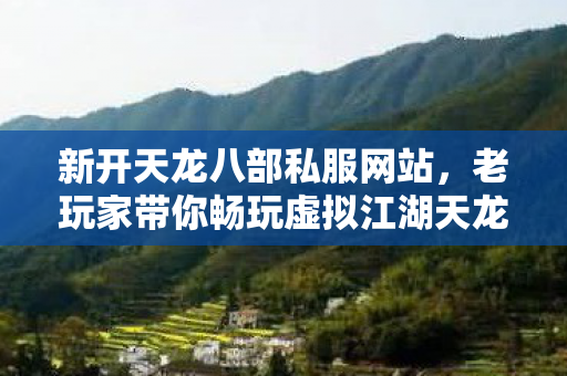 老玩家带你畅玩虚拟江湖天龙私服图片