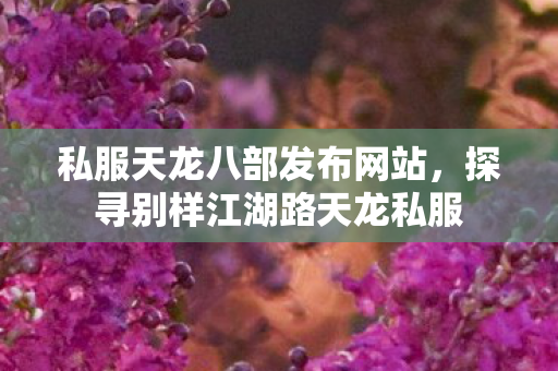 探寻别样江湖路天龙私服图片