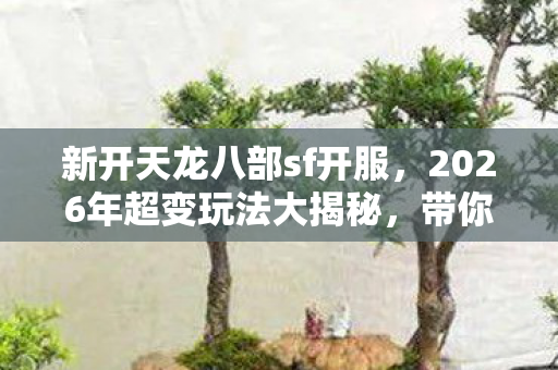 带你畅玩不一样的江湖天龙私服图片