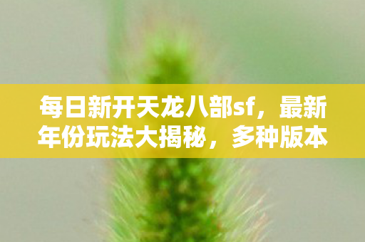 多种版本任你选天龙八部私服图片