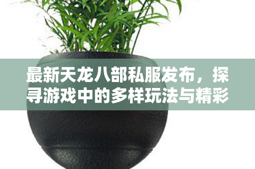 探寻游戏中的多样玩法与精彩体验天龙八部私服图片