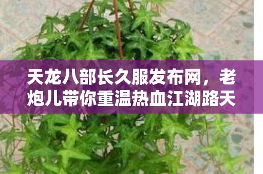 老炮儿带你重温热血江湖路天龙私服图片