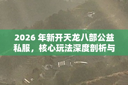 核心玩法深度剖析与实用指南天龙私服图片