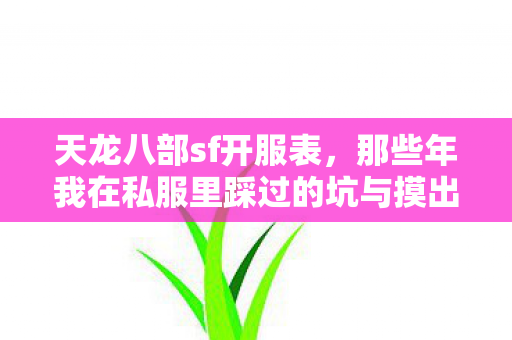 那些年我在私服里踩过的坑与摸出的野路子天龙私服图片