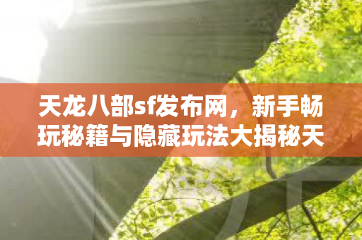 新手畅玩秘籍与隐藏玩法大揭秘天龙八部私服图片