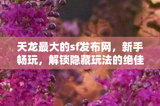 解锁隐藏玩法的绝佳之地天龙八部私服图片