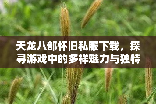探寻游戏中的多样魅力与独特体验天龙八部私服图片