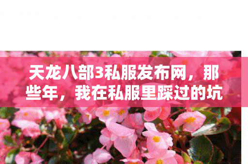 我在私服里踩过的坑与摸出的野路子天龙八部私服图片