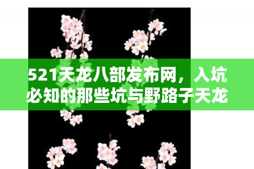 入坑必知的那些坑与野路子天龙私服图片