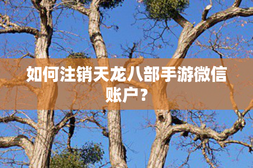 如何注销天龙八部手游微信账户图片