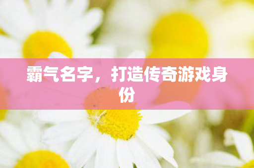 打造传奇游戏身份图片