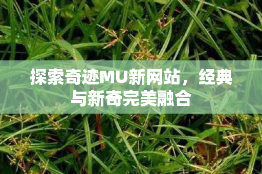 探索奇迹MU新网站图片