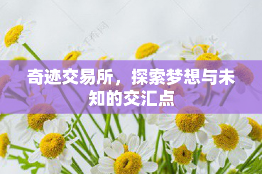 探索梦想与未知的交汇点图片