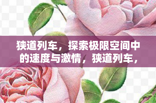狭道列车，探索极限空间中的速度与激情，狭道列车，极限空间中的速度与激情