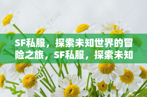探索未知世界的冒险之旅图片