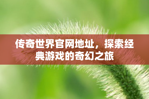 探索经典游戏的奇幻之旅图片