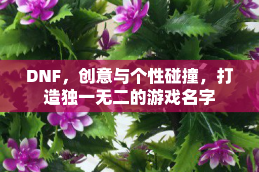 打造独一无二的游戏名字图片