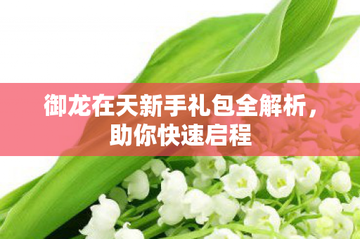 御龙在天新手礼包全解析图片