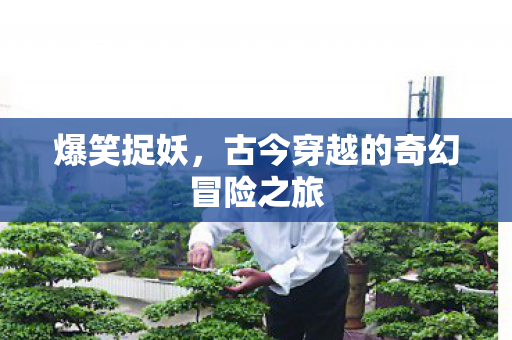 古今穿越的奇幻冒险之旅图片