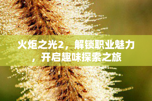开启趣味探索之旅图片