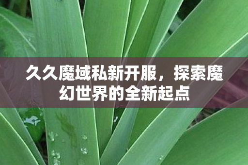 探索魔幻世界的全新起点图片