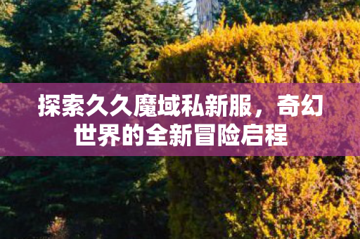 奇幻世界的全新冒险启程图片