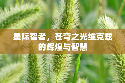 苍穹之光维克兹的辉煌与智慧图片