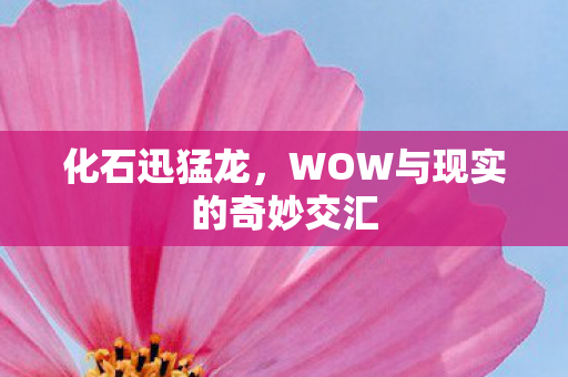 WOW与现实的奇妙交汇图片