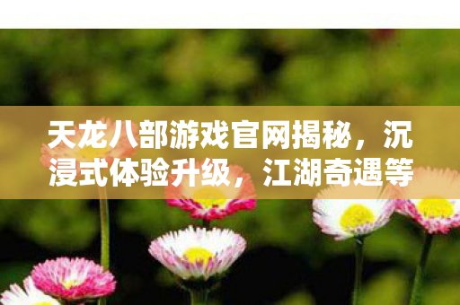 天龙八部游戏官网揭秘图片
