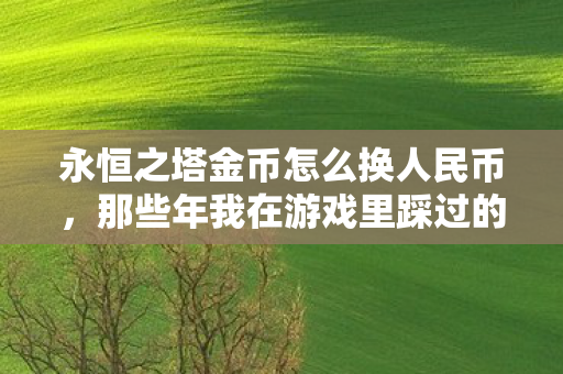 永恒之塔金币怎么换人民币,那些年我在游戏里踩过的坑与摸出的门道 永恒之塔金币怎么换人民币,那些年我在游戏里踩过的坑与摸出的门道
