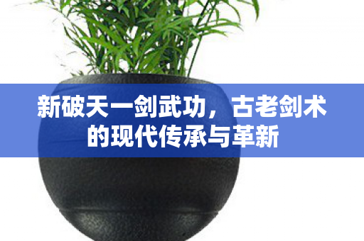 古老剑术的现代传承与革新图片