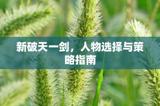 人物选择与策略指南图片