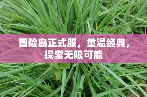 冒险岛正式服图片