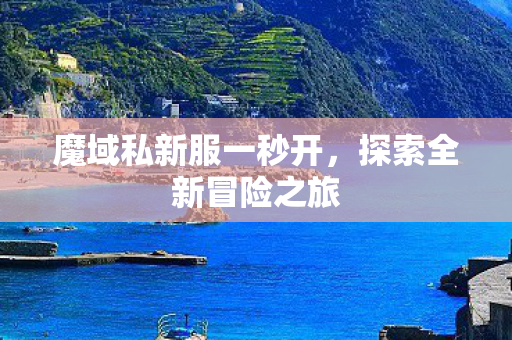 魔域私新服一秒开图片