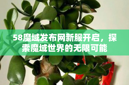 58魔域发布网新服开启图片