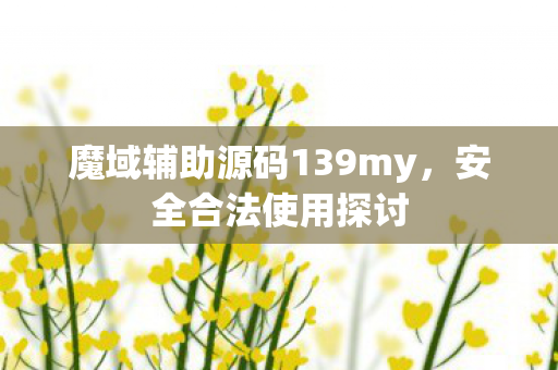 魔域辅助源码139my图片