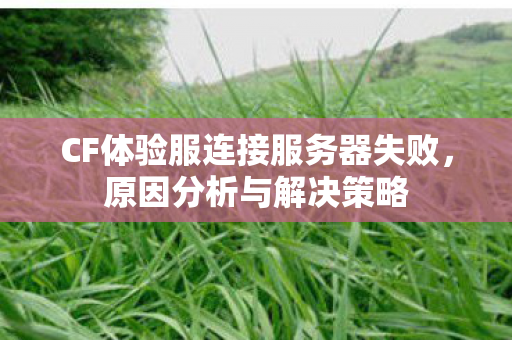 CF体验服连接服务器失败图片