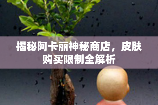 揭秘阿卡丽神秘商店图片