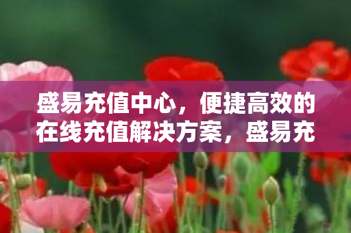 便捷高效的在线充值解决方案图片