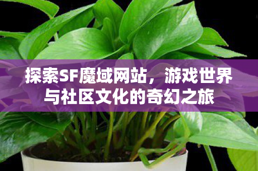 游戏世界与社区文化的奇幻之旅图片