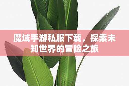 探索未知世界的冒险之旅图片